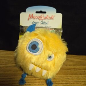 Cat Toy